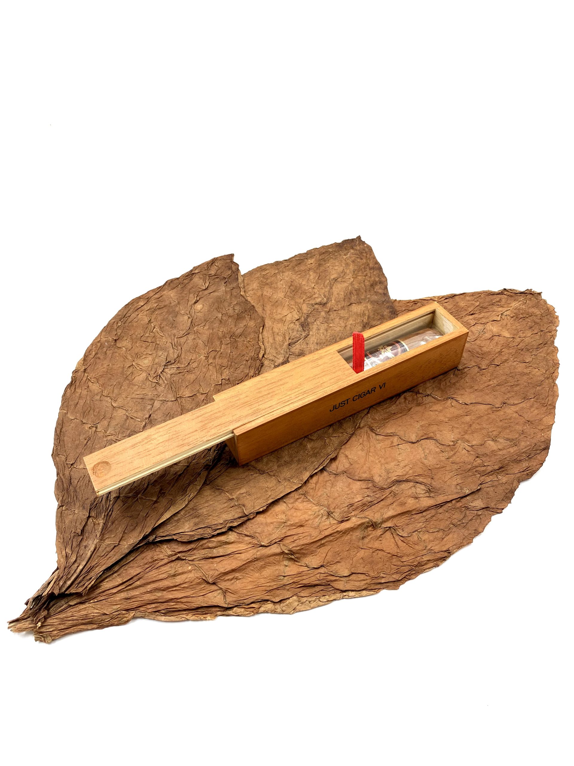 Just Cigar 8 Wooden Box - Isi (1Batang)